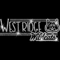 GLT101 SILVER GLITTER Thumbnail