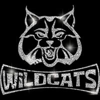 GLT94 SILVER GLITTER Thumbnail