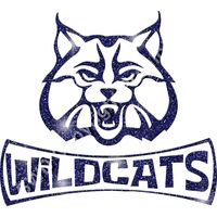 GLT94 BLUE GLITTER Thumbnail